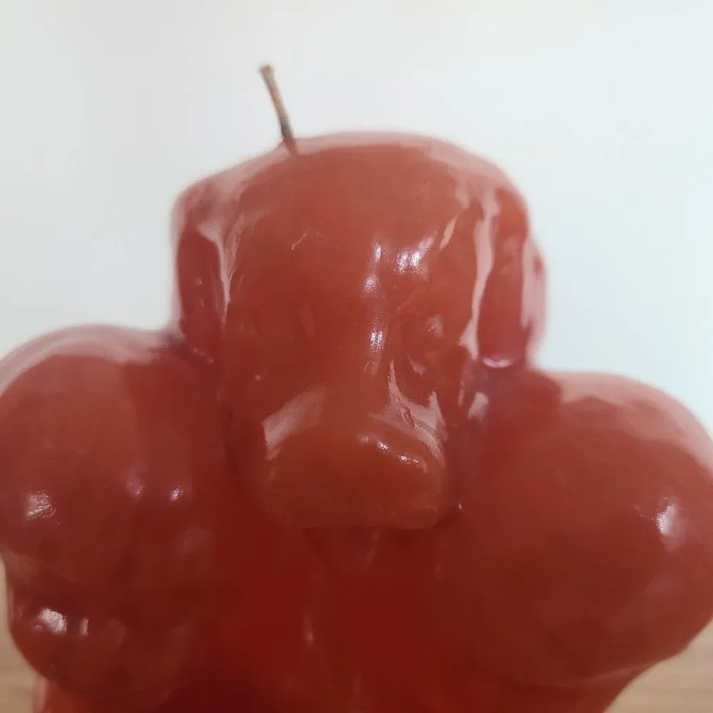 Vintage Novelty Wax Candle - BOY AND GIRL WITH DOG - Vintage Rare UNIQUE